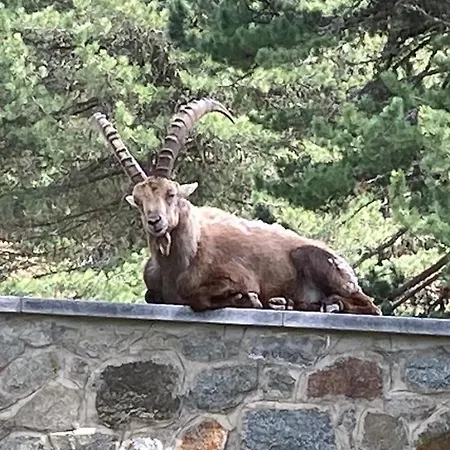 Felsahus Apartamento *