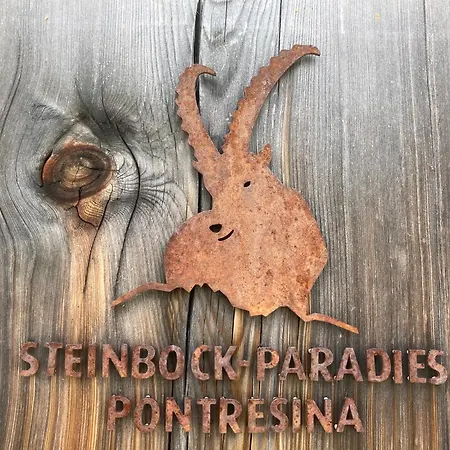 Apartman Felsahus Alvaneu