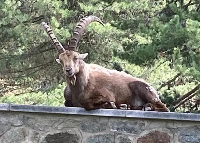 Felsahus Διαμέρισμα *